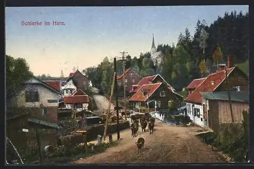 AK Schierke / Harz, Dorfstrasse