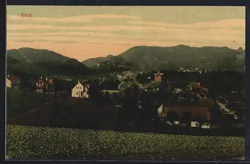 AK Hain / Zittau, Panorama