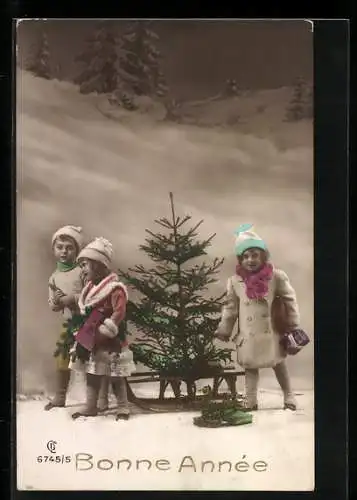 Foto-AK GL Co Nr. 6745 /5: Kinder ziehen einen Tannenbaum auf einem Schlitten