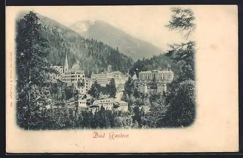 AK Gastein, Ortsansicht von den Schwarzenberg-Anlagen aus