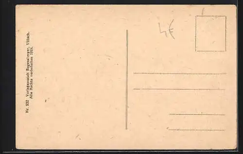 AK Tarvisio, Ortsansicht in Waldlandschaft