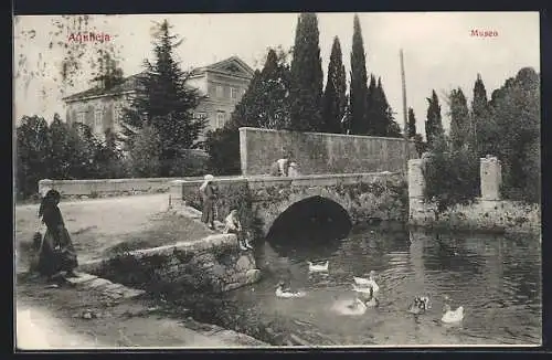 AK Aquileia, Museo, Kinder füttern Enten