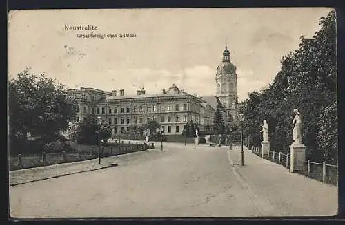 AK Neustrelitz, Grossherzogliches Schloss mit Strassenpartie