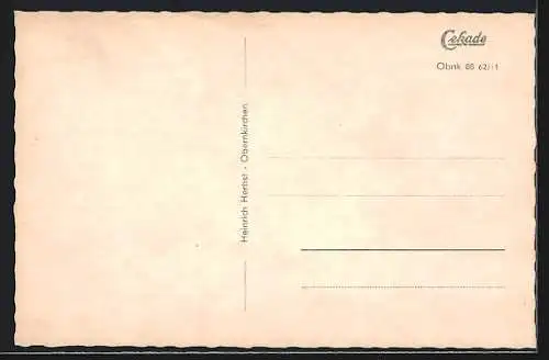 AK Obernkirchen, Strassenpartie mit Geschäften