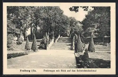 AK Freiberg i. Sa., Freitreppe mit Blick auf das Schwedendenkmal