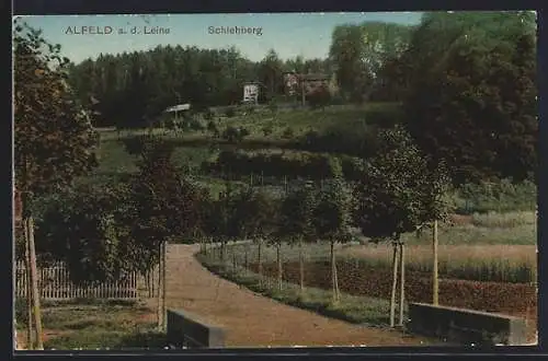 AK Alfeld a. d. Leine, Blick zum Schlehberg