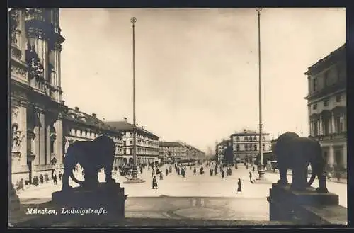 AK München, Ludwigstrasse mit steinernen Löwen