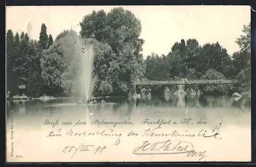 AK Frankfurt-Westend, Palmengarten mit Fontäne