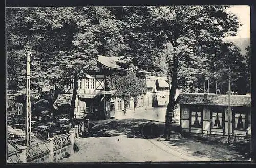 AK Kirnitzschtal, Gasthaus Lichtenhainer Wasserfall