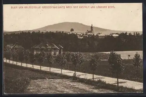 AK Grossschweidnitz, Blick von der Haltestelle nach der Anstalt und Löbauer Berg