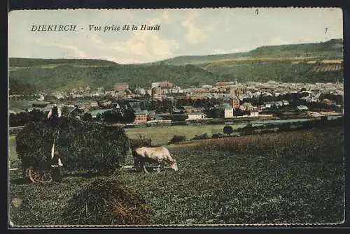 AK Diekirch, Vue prise de la Hardt