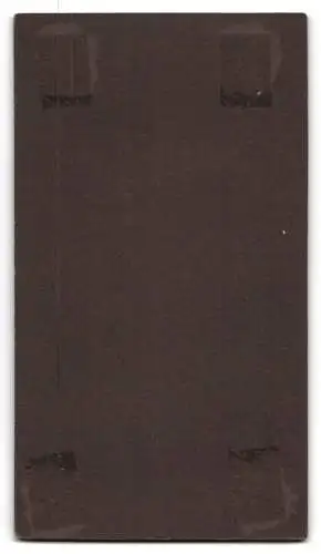 Fotografie Julius Palm, Tangermünde, Albrechtstr. 11, Porträt eines eleganten jungen Mannes
