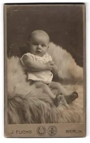 Fotografie J. Fuchs, Berlin, N. Friedrichstr. 108, Porträt eines sitzenden Babys auf einem Fell