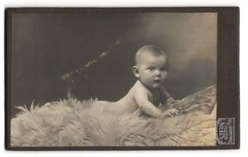 Fotografie Aug. Stein, Berlin, Chausseestr 70 /71, Baby auf flauschiger Decke