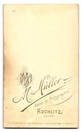 Fotografie M. Müller, Rochlitz /Sachsen, Jugendlicher in Anzug und Fliege