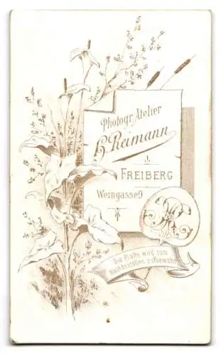 Fotografie H. Reimann, Freiberg, Weingasse 9, Dame mit elegantem Fächer