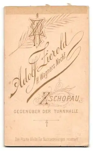 Fotografie Adolf Zierold, Zschopau, Gegenüber der Turnhalle, Portrait eines Mannes mit Schnurrbart