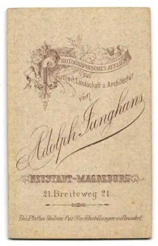 Fotografie Adolph Junghans, Neustadt-Magdeburg, Breiteweg 21, Portrait eines bärtigen Mannes im Anzug