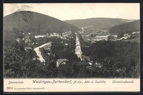 AK Weidlingau-Purkersdorf /N.-Oe, Sanatorium und Christkindlwald