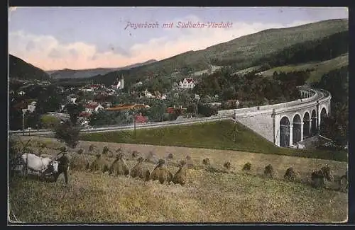 AK Payerbach, Teilansicht mit Südbahn-Viadukt