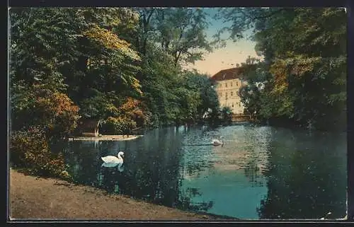 AK Wr.-Neustadt, Knollteich im Akademiepark