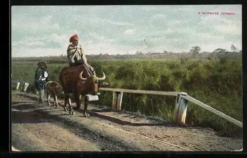 AK A Burmese Farmer