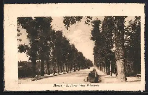 AK Monza, R. Parco Viale Principale