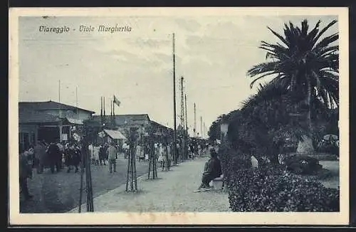 AK Viareggio, Viale Margherita