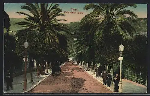 AK Nervi, Viale delle Palme