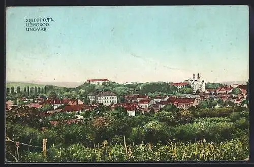 AK Uzhorod, Panorama