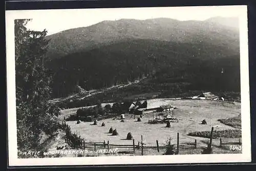 AK Jasina, Panorama