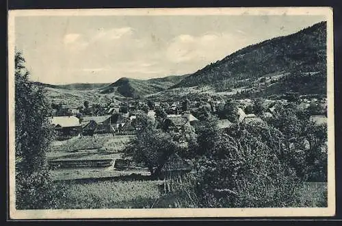 AK Volové, Ortsansicht aus der Vogelschau