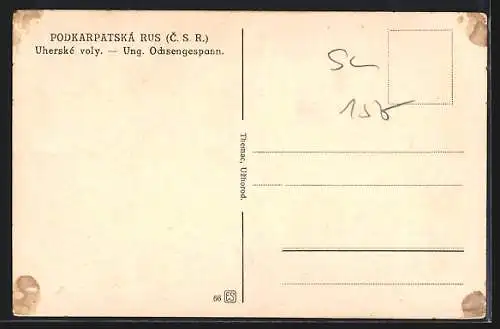 AK Podkarpatská Rus, Ung. Ochsengespann