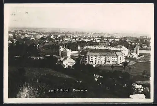 AK Uzhorod, Panorama