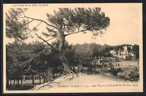 AK Tharon-Plage /L.-I., Les Pins et la Place de Duchesse Anne