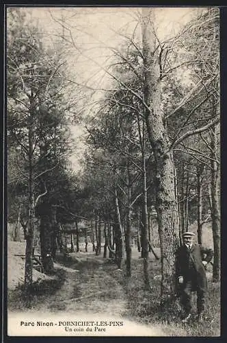 AK Pornichet-les-Pins, Parc Nonon, Un coin du Parc