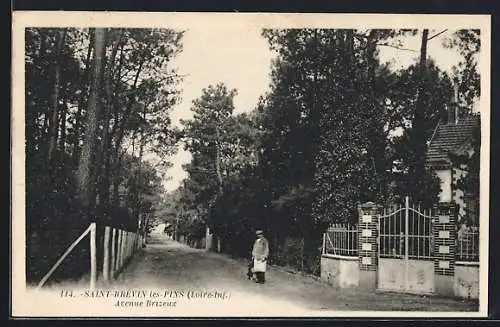 AK Saint-Brévin-les-Pins, Avenue Brizeux