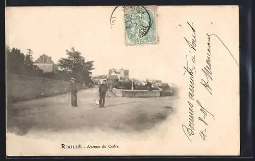 AK Riaillé, Avenue du Cèdre