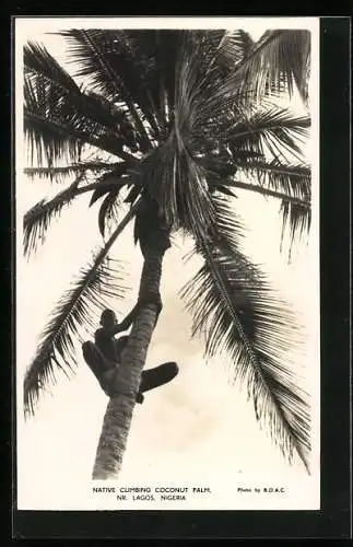 AK Lagos, Native Climbing Coconut Palm, afrikanische Volkstypen