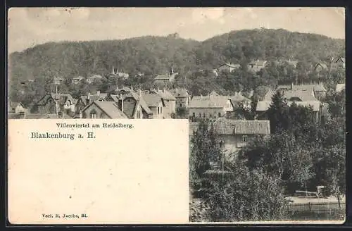 AK Blankenburg a. H., Villenviertel am Heidelberg