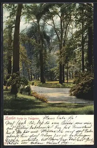 AK Berlin, Partie im Tiergarten