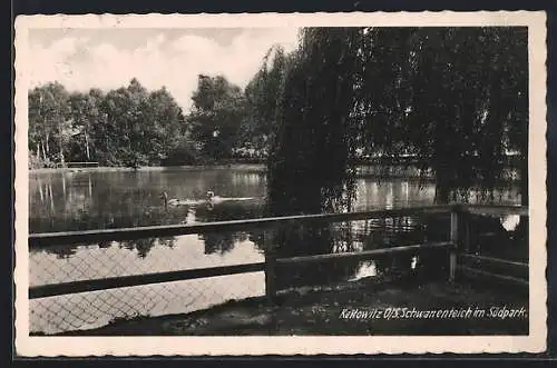 AK Kattowitz, Schwanenteich im Südpark