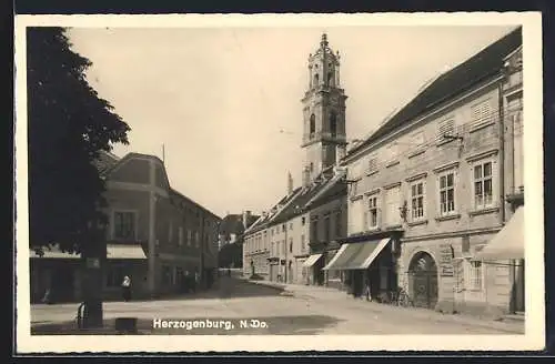 AK Herzogenburg /N.-Oe, Strassenpartie