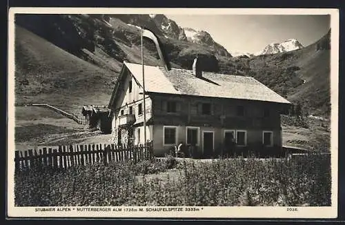 AK Mutters /Tirol, Mutterberger Alm mit Schaufelspitze