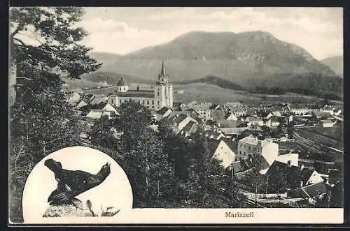 AK Mariazell, Ortsansicht mit Kirche, Auerhahn