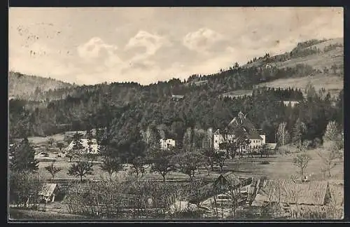 AK Bad St. Leonhard im Lavanttal, Blick nach Wiesenau