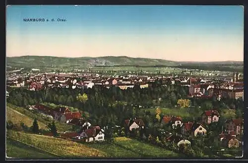 AK Marburg a. d. Drau, Panorama