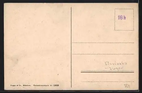 AK Krain, Blick auf die Assling-Hütte