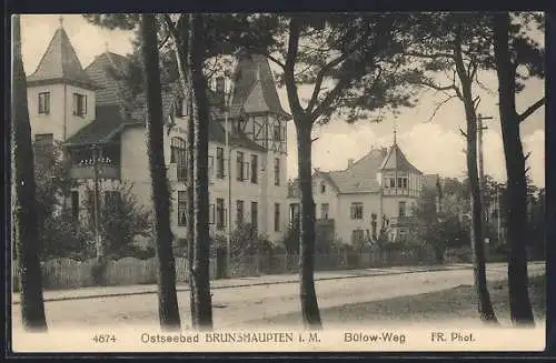 AK Brunshaupten i. M., Bülow-Weg mit Villen