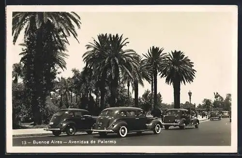 AK Buenos Aires, Avenidas de Palermo